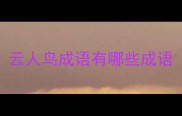 云人鸟成语有哪些成语