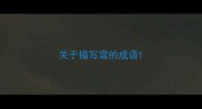 关于描写雪的成语