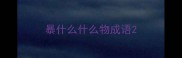 暴什么什么物成语
