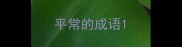 平常的成语