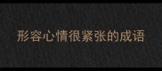 形容心情很紧张的成语