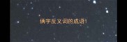 俩字反义词的成语