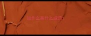 知什么善什么成语