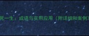 九死一生成语与实用应用附详细和案例