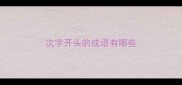 次字开头的成语有哪些