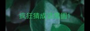 疯狂猜成语黑圆