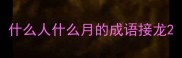 什么人什么月的成语接龙