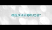 眉脸成语有哪些成语