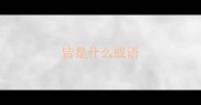 皆是什么成语