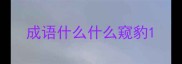 成语什么什么窥豹