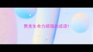 赞美生命力顽强的成语