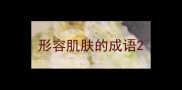 形容肌肤的成语