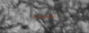3322的成语是什么