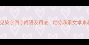 常见染字四字成语及用法助你积累文学素养