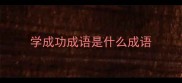 学成功成语是什么成语