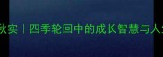 春华秋实四季轮回中的成长智慧与人生启示