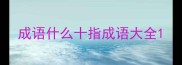 成语什么十指成语大全
