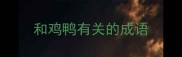 和鸡鸭有关的成语
