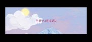 兰什么质成语
