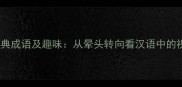 带晕字的经典成语及趣味从晕头转向看汉语中的视觉化表达