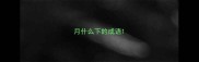 月什么下的成语