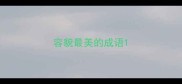 容貌最美的成语