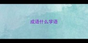 成语什么学语
