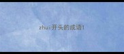 zhui开头的成语
