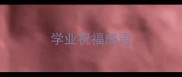 学业祝福成语