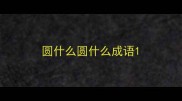 圆什么圆什么成语