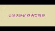 天啥天啥的成语有哪些