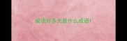 成语好多无是什么成语