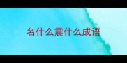 名什么震什么成语