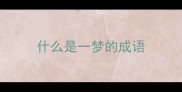 什么是一梦的成语