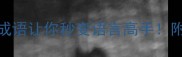 推荐八字成语大全这100个成语让你秒变语言高手附学霸记忆口诀附搜索数据