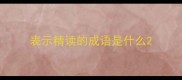 表示精读的成语是什么