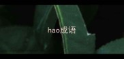 hao成语
