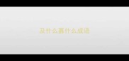及什么寡什么成语