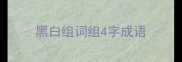 黑白组词组4字成语