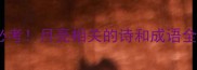 高考必考月亮相关的诗和成语全攻略