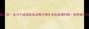 4月春意正浓这10个成语完美诠释万物生长的浪漫时刻附诗意用法指南