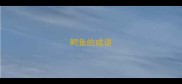 鳄鱼的成语