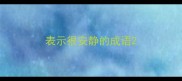 表示很安静的成语