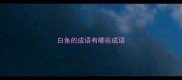 白鱼的成语有哪些成语