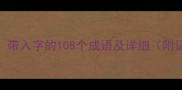 高频使用带入字的108个成语及详细附记忆技巧