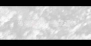 乌鸦虫鸡打一成语