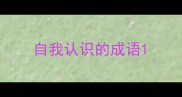 自我认识的成语