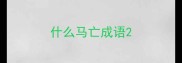 什么马亡成语