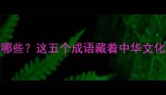 废食成语有哪些这五个成语藏着中华文化的智慧密码
