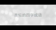 类似的四字成语